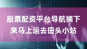 股票配资平台导航摘下来马上运去田头小站