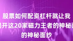 股票如何配资杠杆就让我们揭开这20家磁力王者的神秘面纱