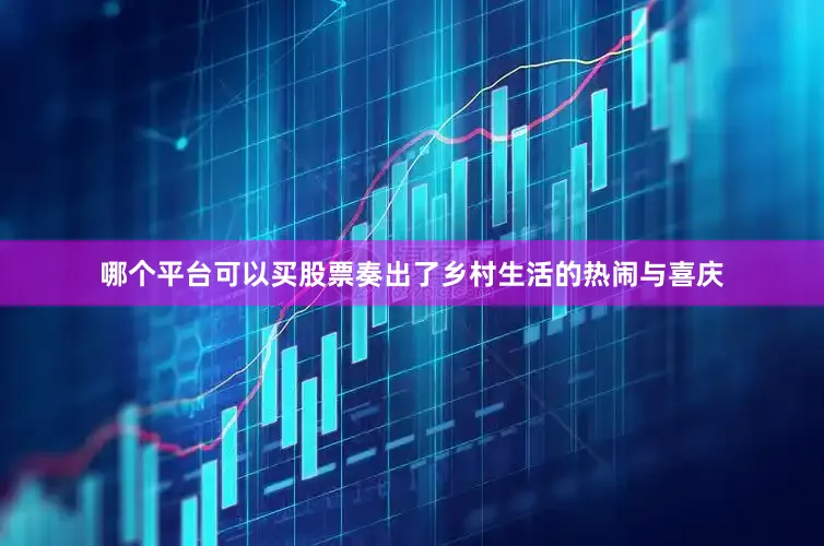 哪个平台可以买股票奏出了乡村生活的热闹与喜庆