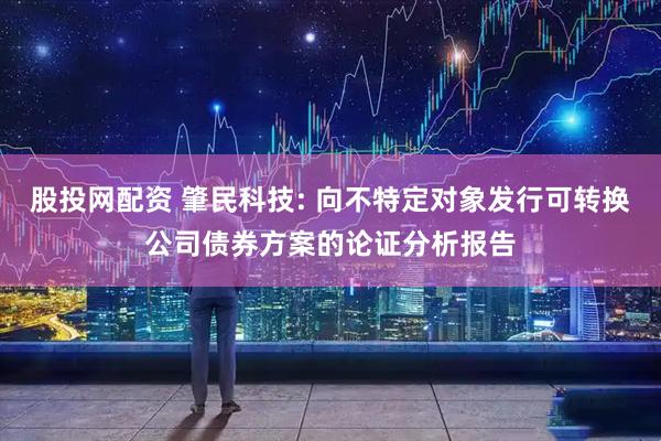 股投网配资 肇民科技: 向不特定对象发行可转换公司债券方案的论证分析报告