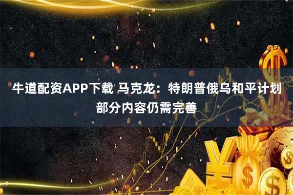 牛道配资APP下载 马克龙：特朗普俄乌和平计划部分内容仍需完善