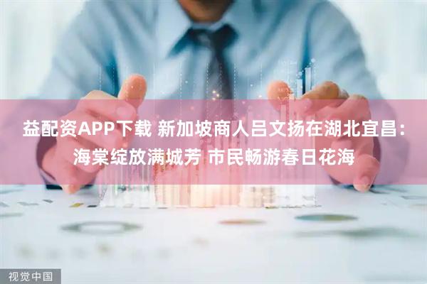益配资APP下载 新加坡商人吕文扬在湖北宜昌：海棠绽放满城芳 市民畅游春日花海